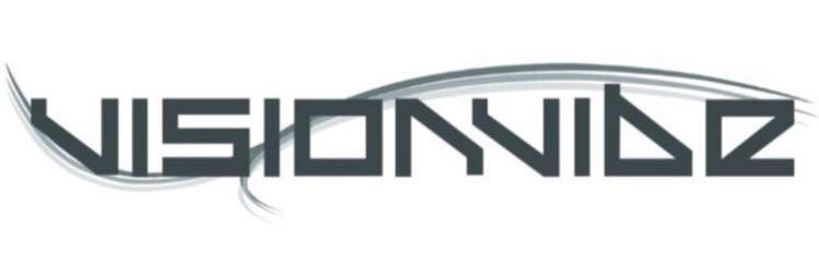 Vision Vibe Sdn Bhd